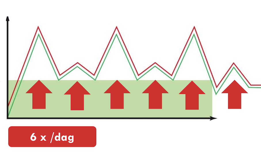 6 maaltijden per dag