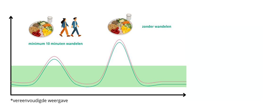 Bloedsuikerspiegel en wandelen