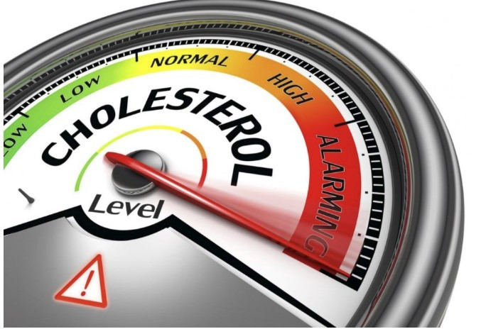 Cholesterol meter