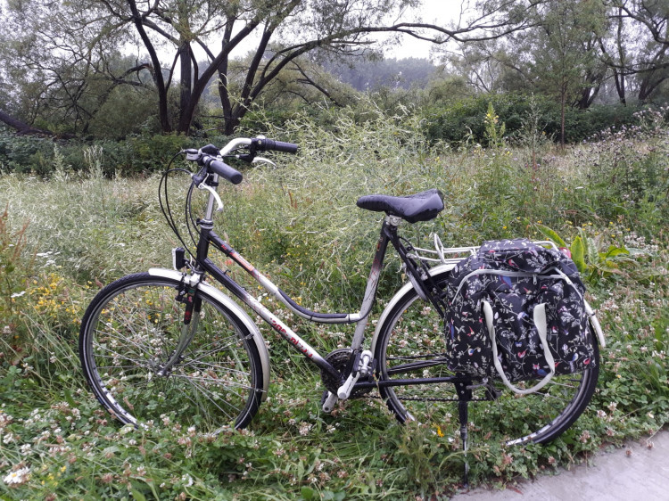 Fiets Koga