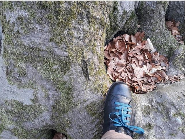 Schoenen